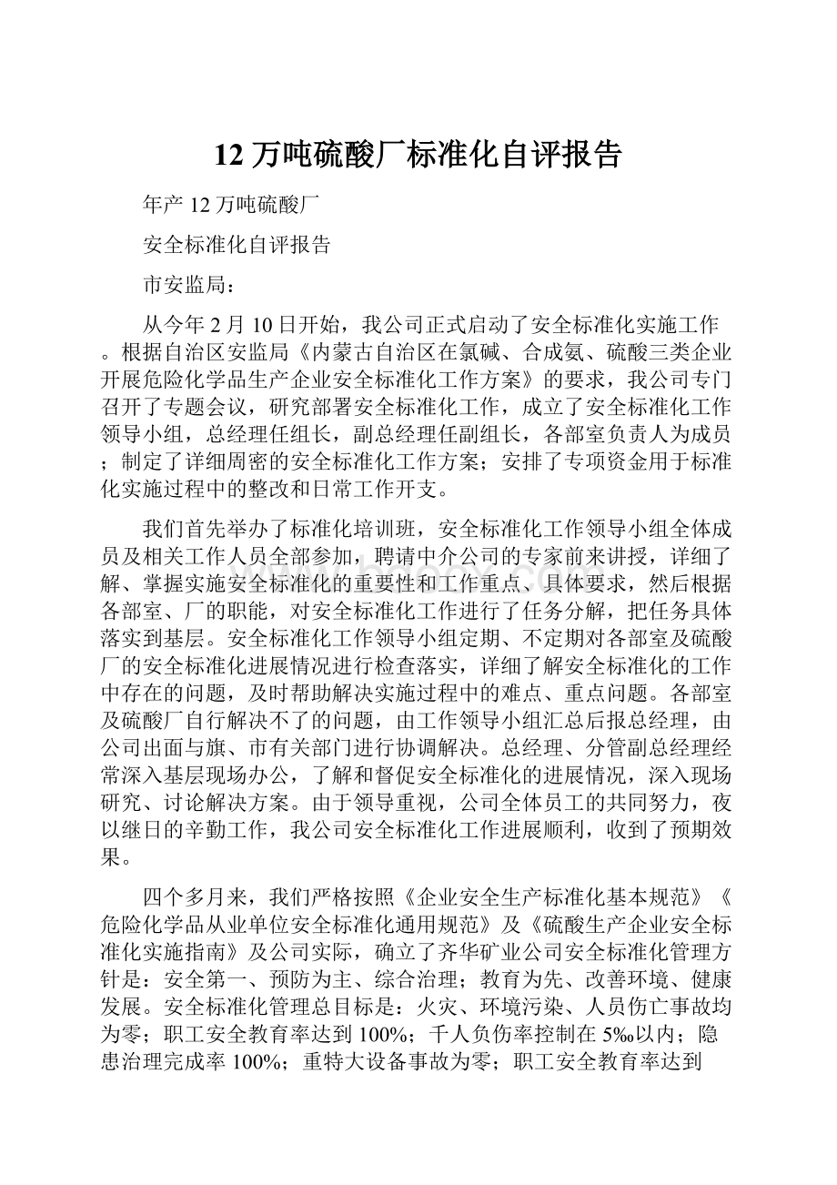 12万吨硫酸厂标准化自评报告.docx