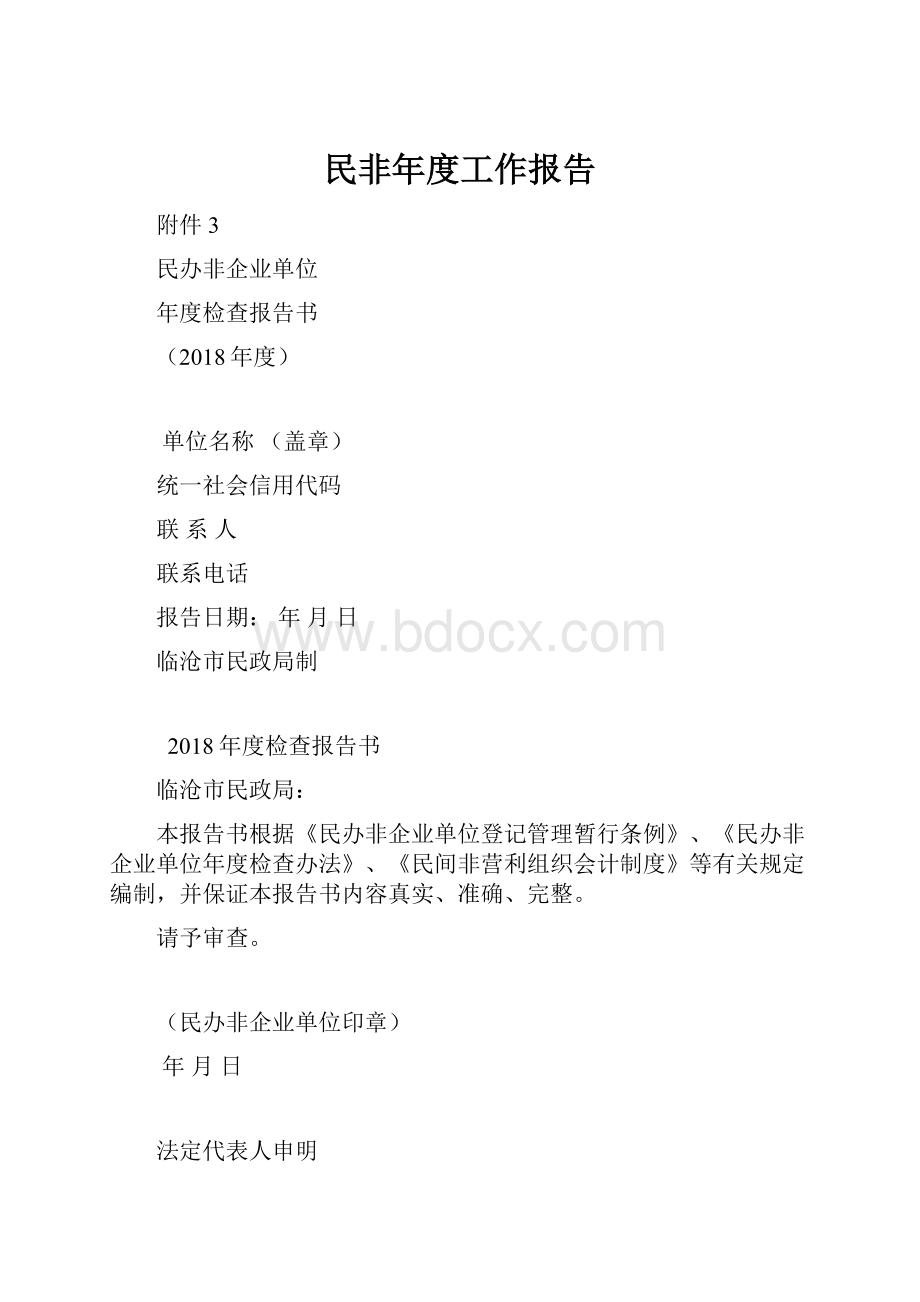 民非年度工作报告.docx