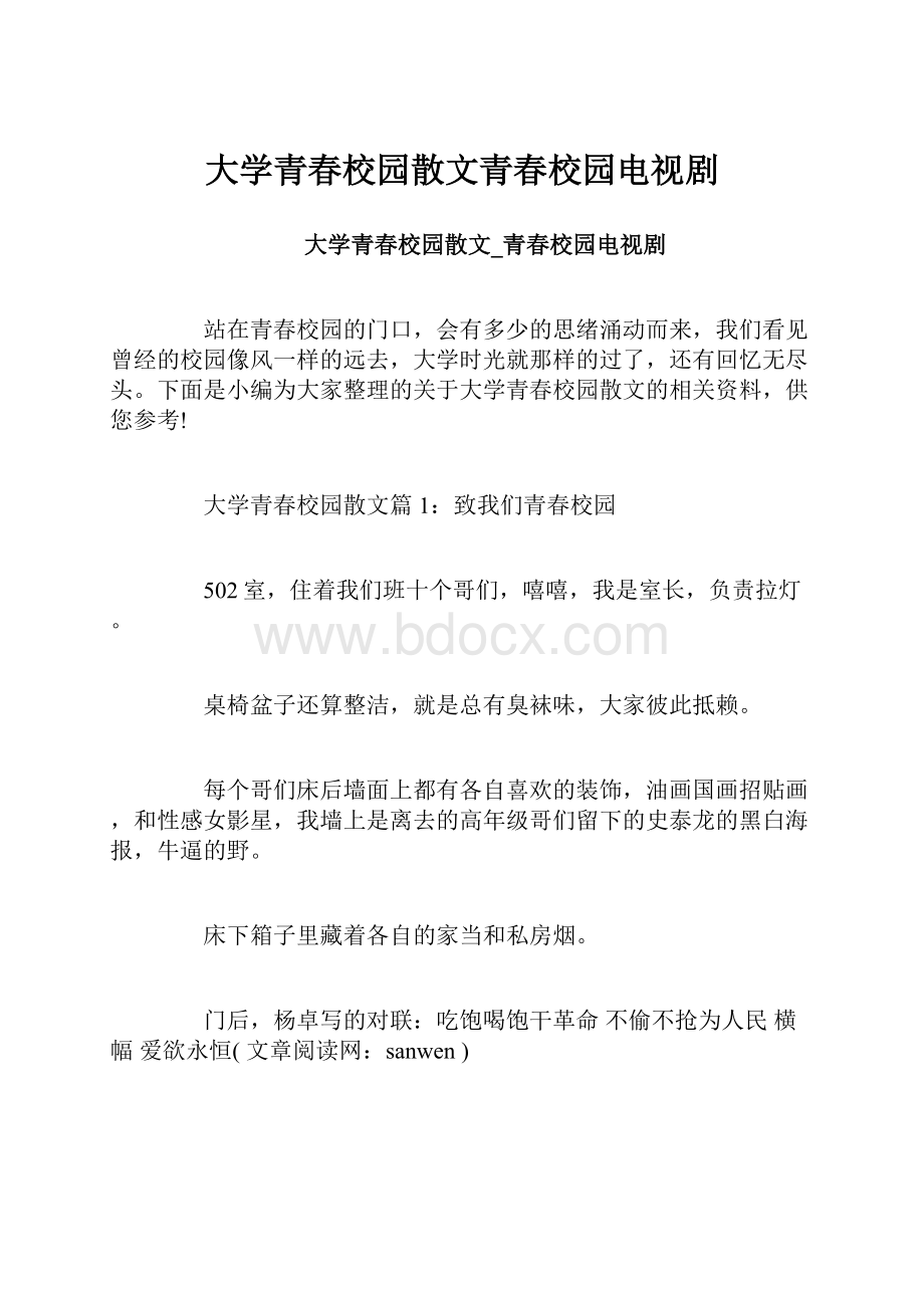 大学青春校园散文青春校园电视剧.docx