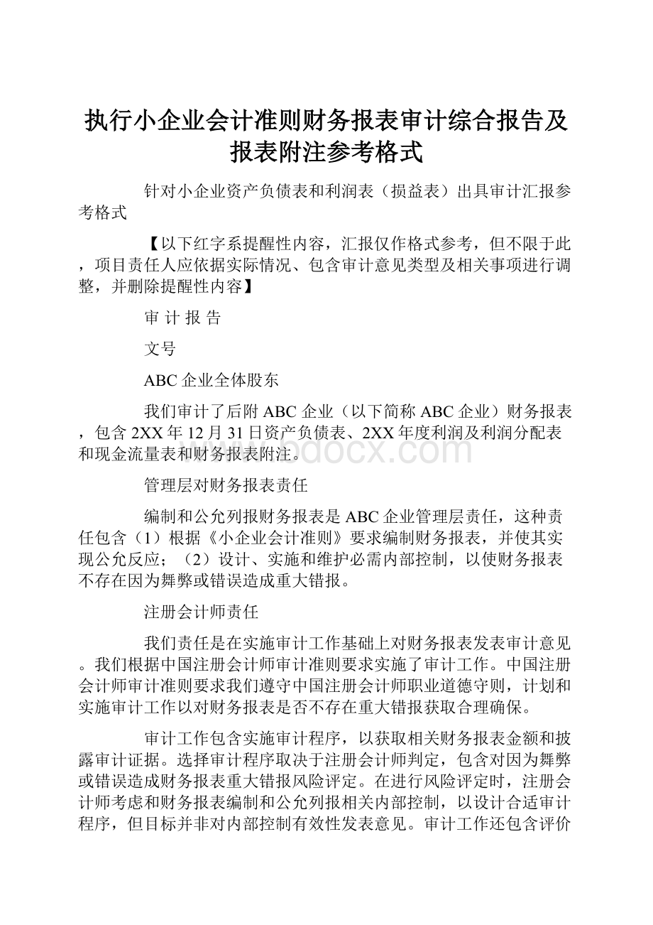 执行小企业会计准则财务报表审计综合报告及报表附注参考格式.docx