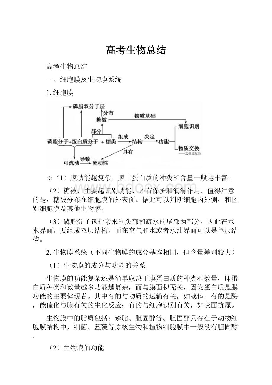 高考生物总结.docx_第1页