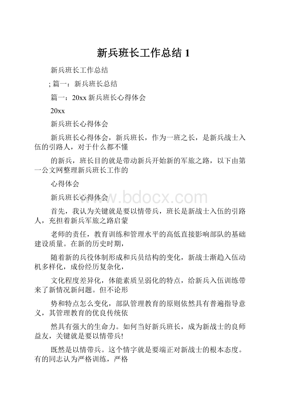 新兵班长工作总结1.docx