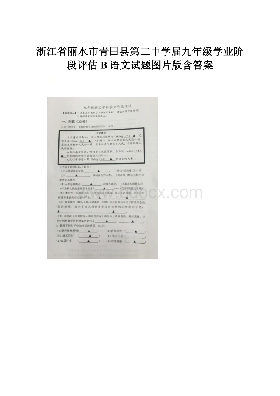 浙江省丽水市青田县第二中学届九年级学业阶段评估B语文试题图片版含答案.docx