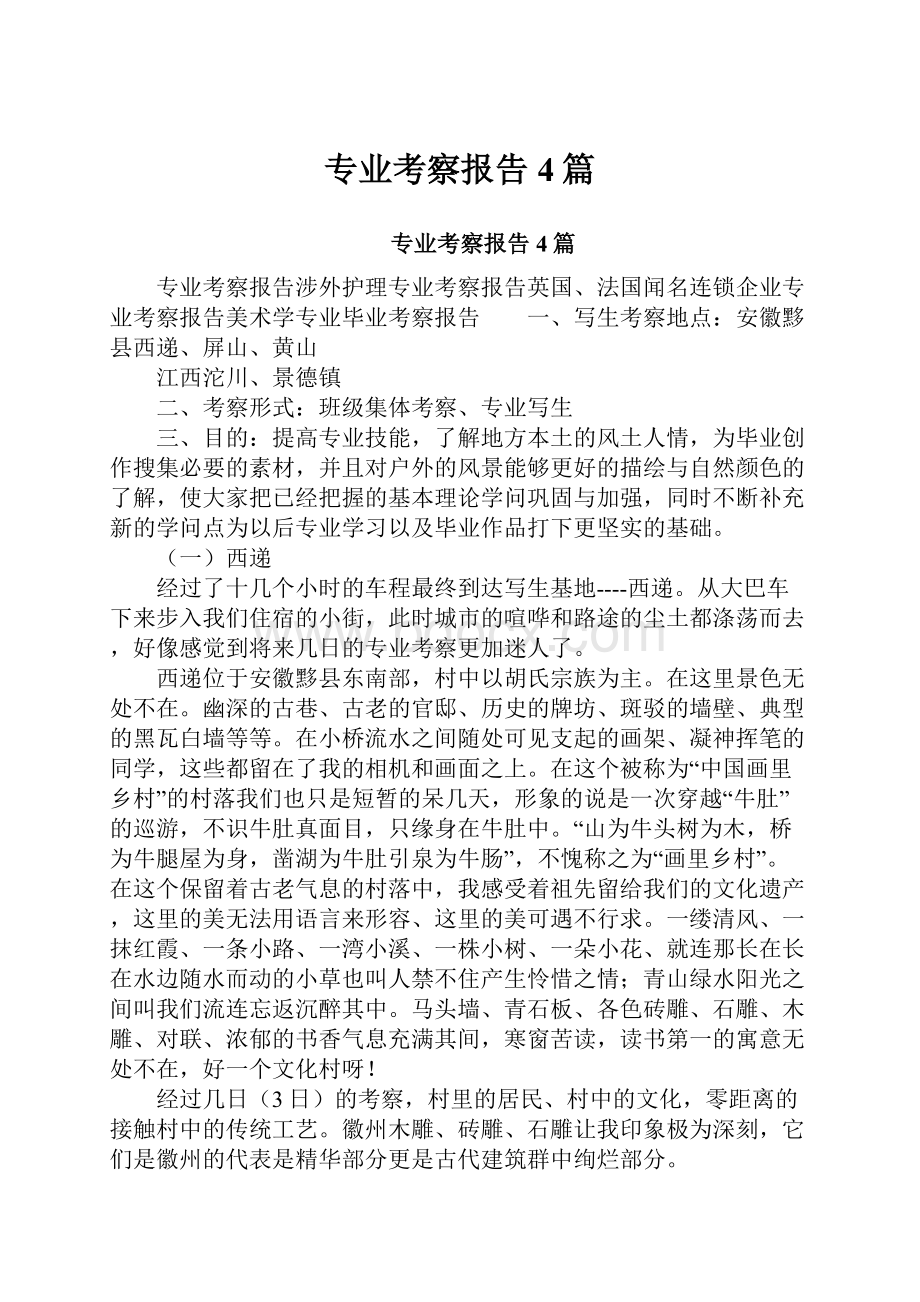 专业考察报告4篇.docx