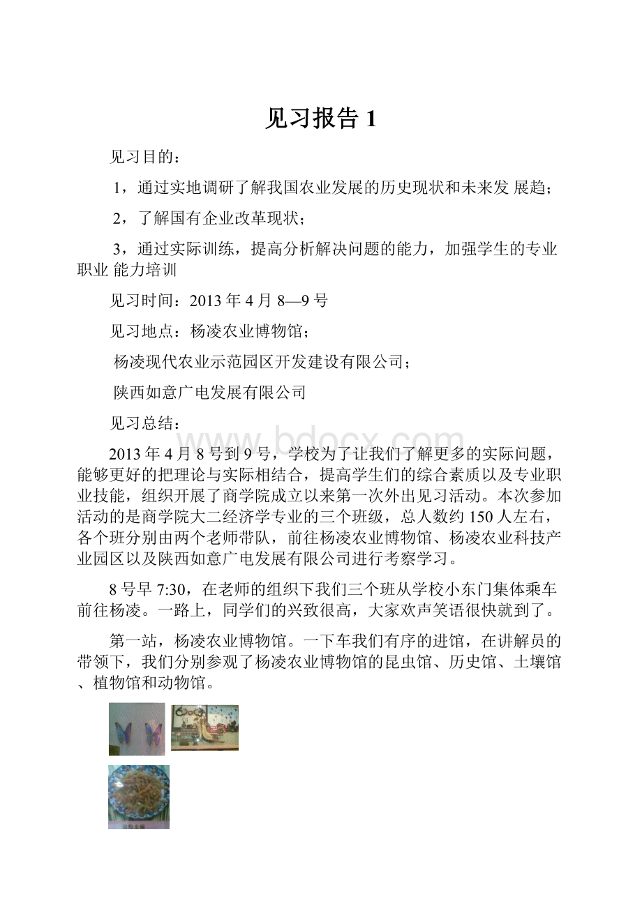 见习报告1.docx