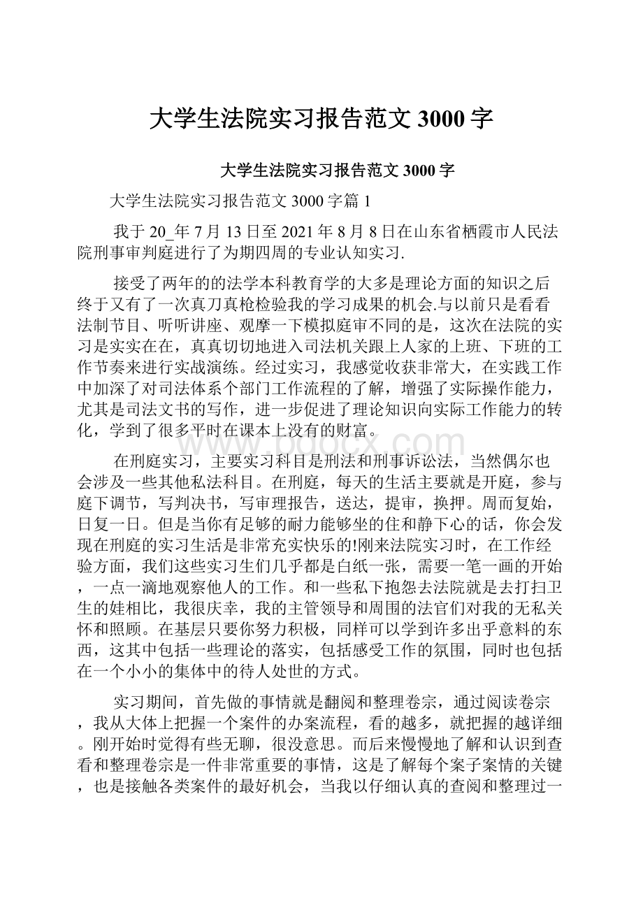 大学生法院实习报告范文3000字.docx