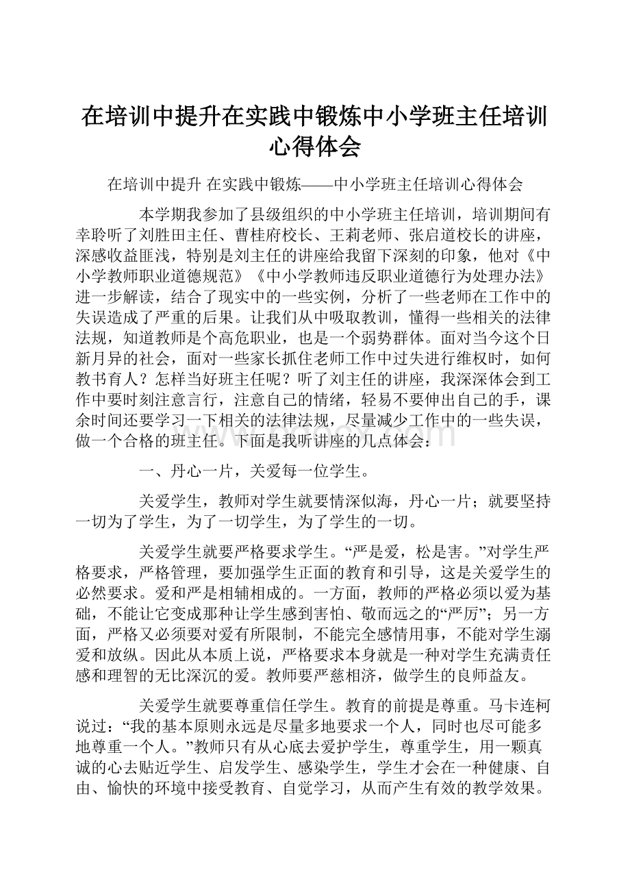 在培训中提升在实践中锻炼中小学班主任培训心得体会.docx