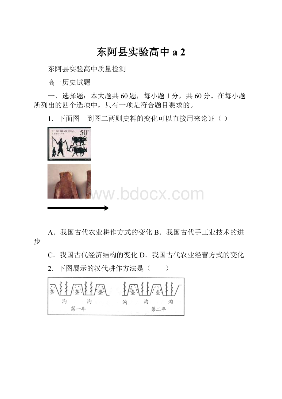 东阿县实验高中a 2.docx