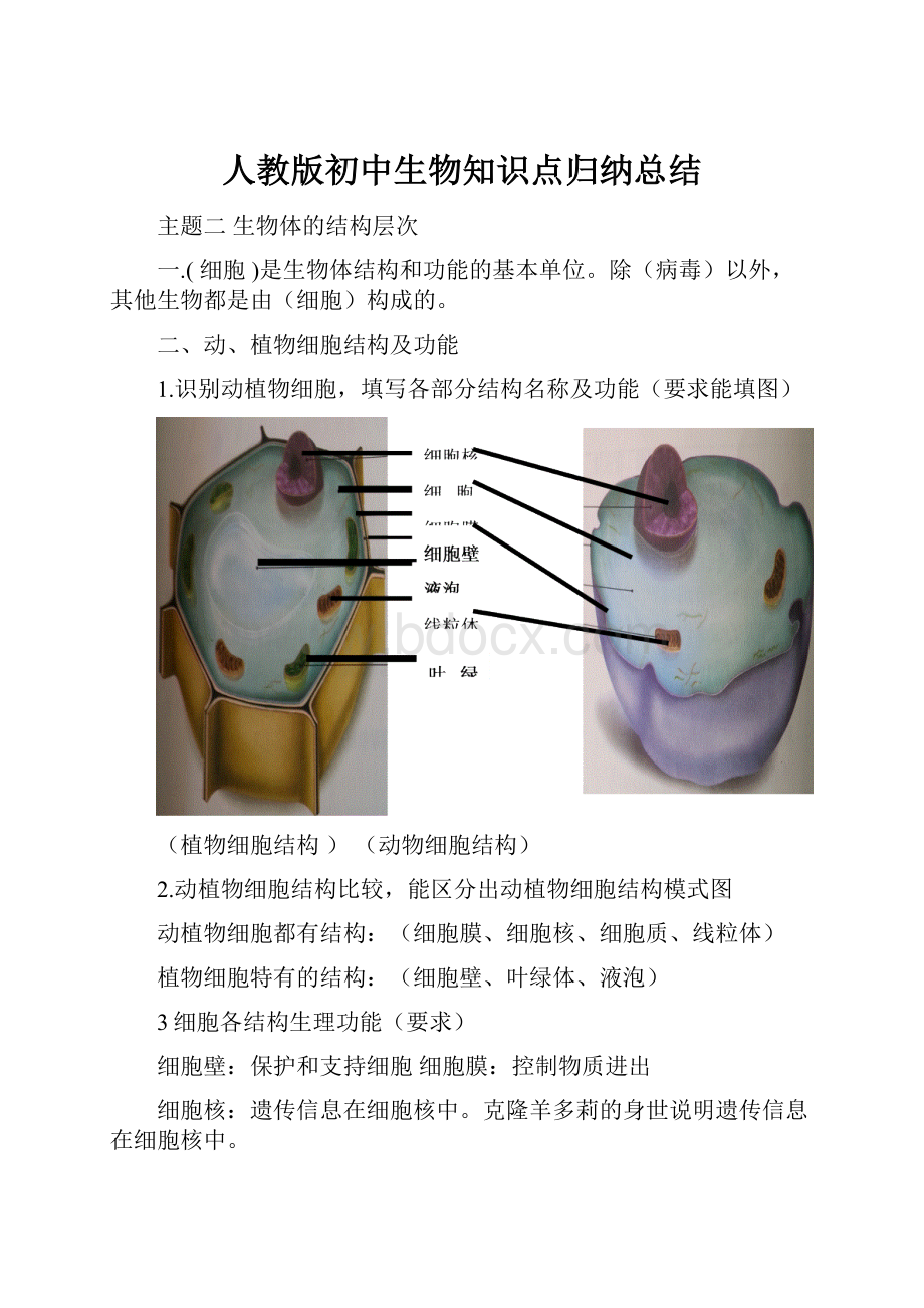 人教版初中生物知识点归纳总结.docx