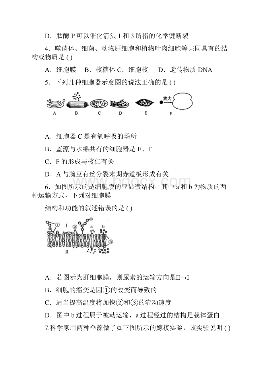 甘肃省宁县第五中学学年高二下学期期末考试生物试题 Word版含答案.docx_第2页