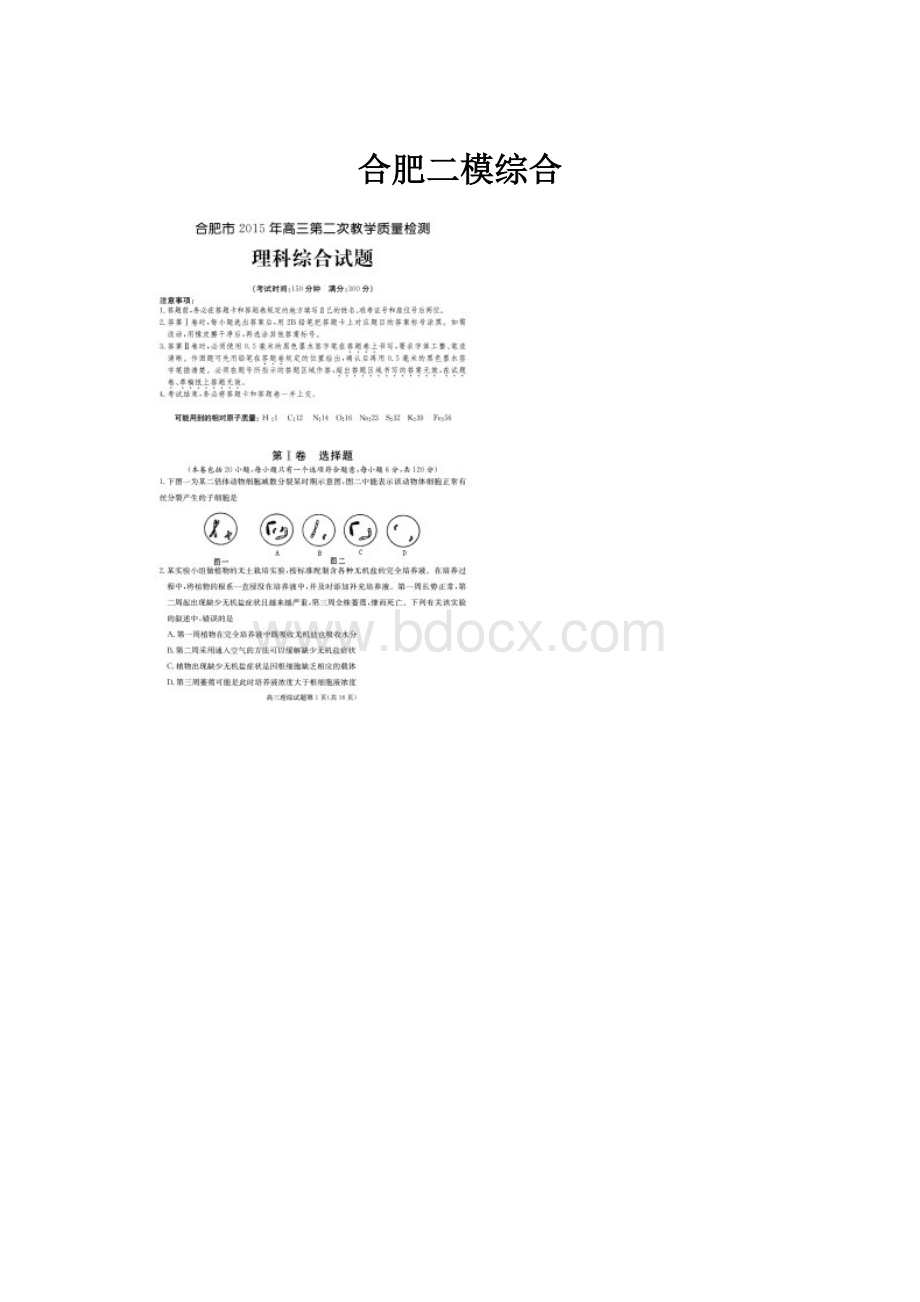 合肥二模综合.docx_第1页