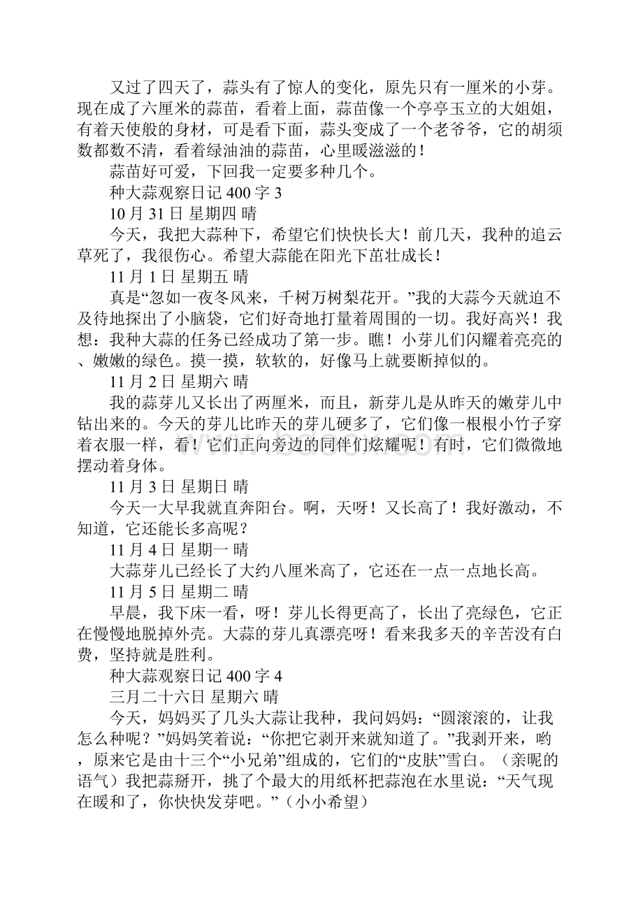 种大蒜观察日记400字.docx_第3页