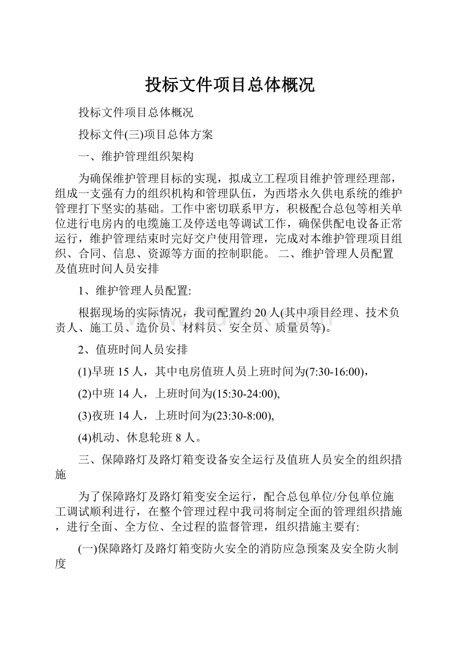 投标文件项目总体概况.docx