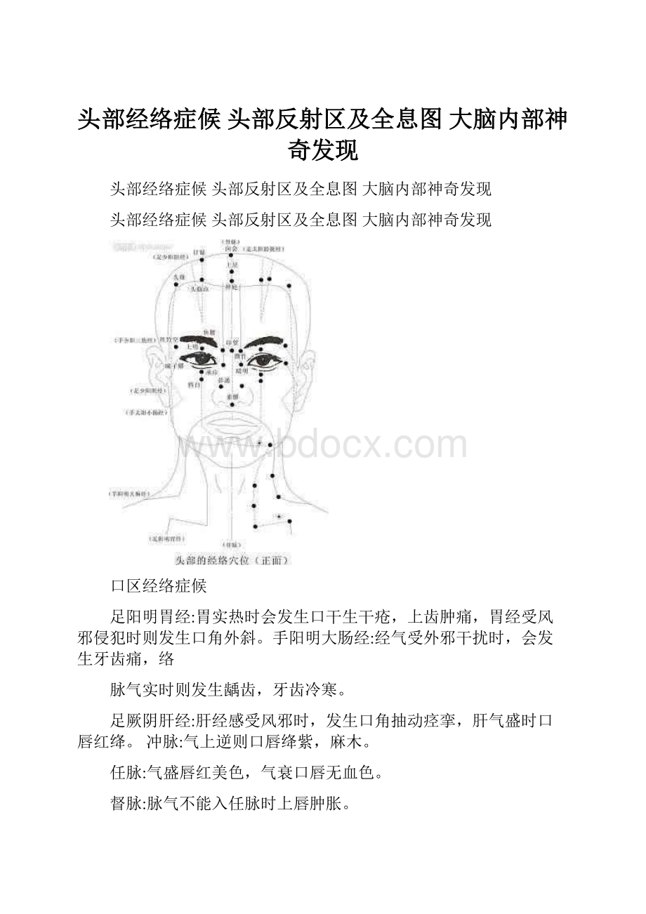 头部经络症候 头部反射区及全息图 大脑内部神奇发现.docx