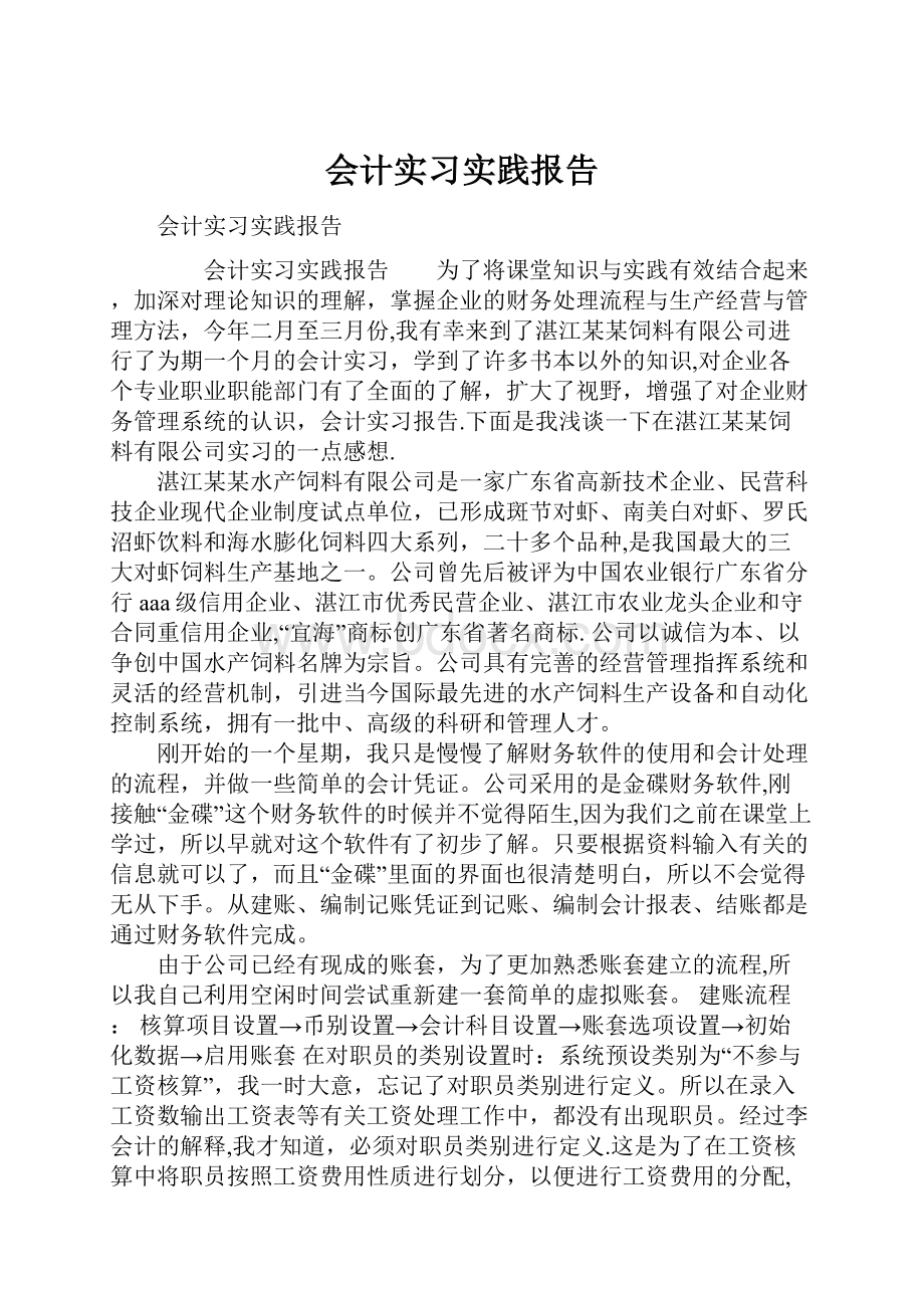 会计实习实践报告.docx