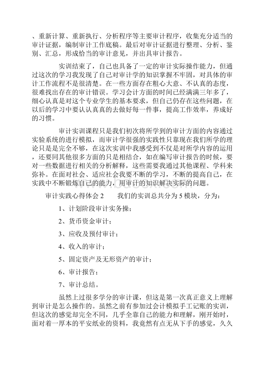 审计实践心得体会.docx_第2页