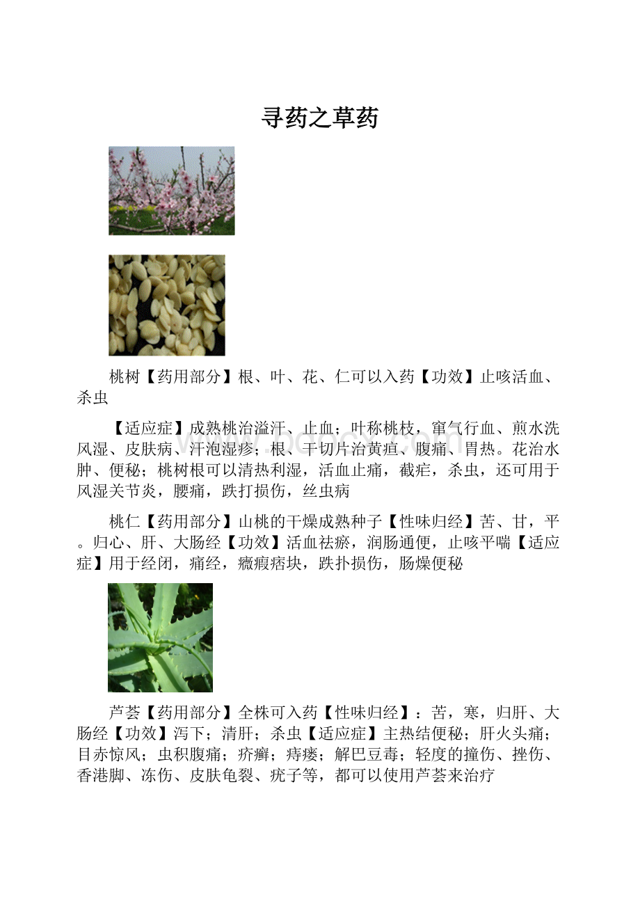 寻药之草药.docx