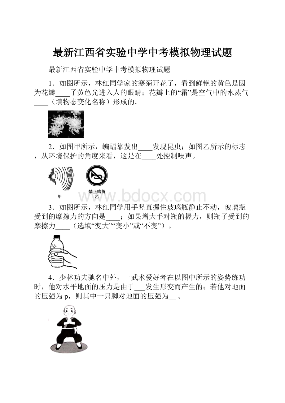 最新江西省实验中学中考模拟物理试题.docx_第1页