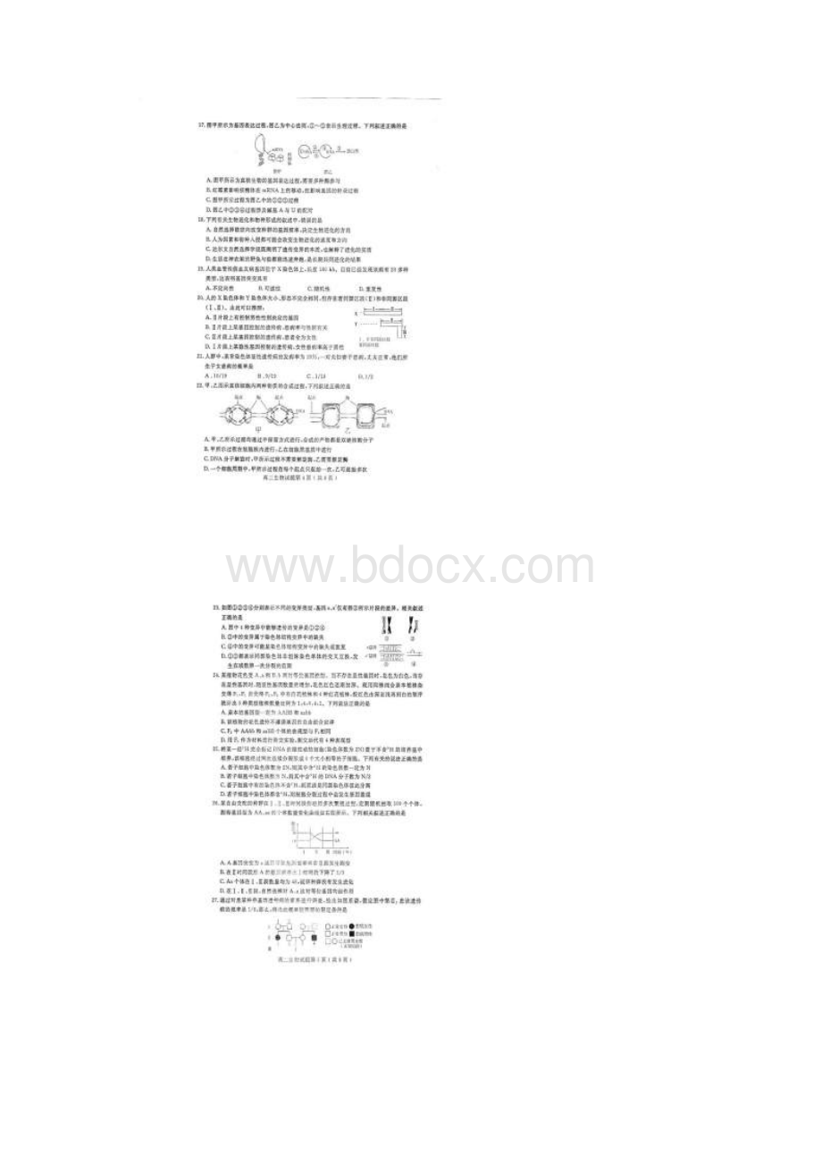 学年山东市济宁市高二上学期期末考试生物试题.docx_第3页