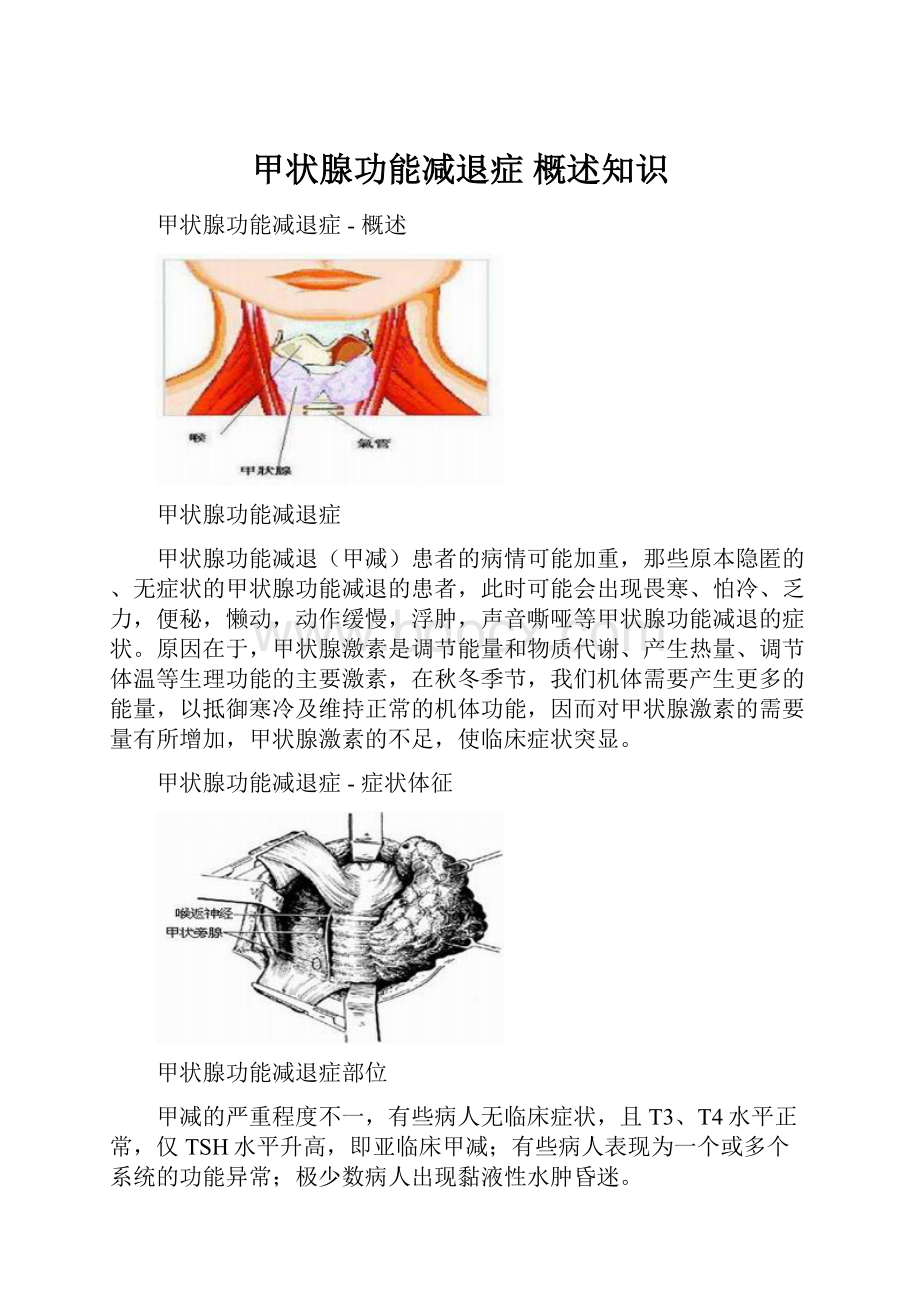 甲状腺功能减退症概述知识.docx