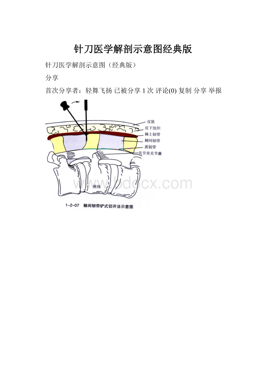 针刀医学解剖示意图经典版.docx