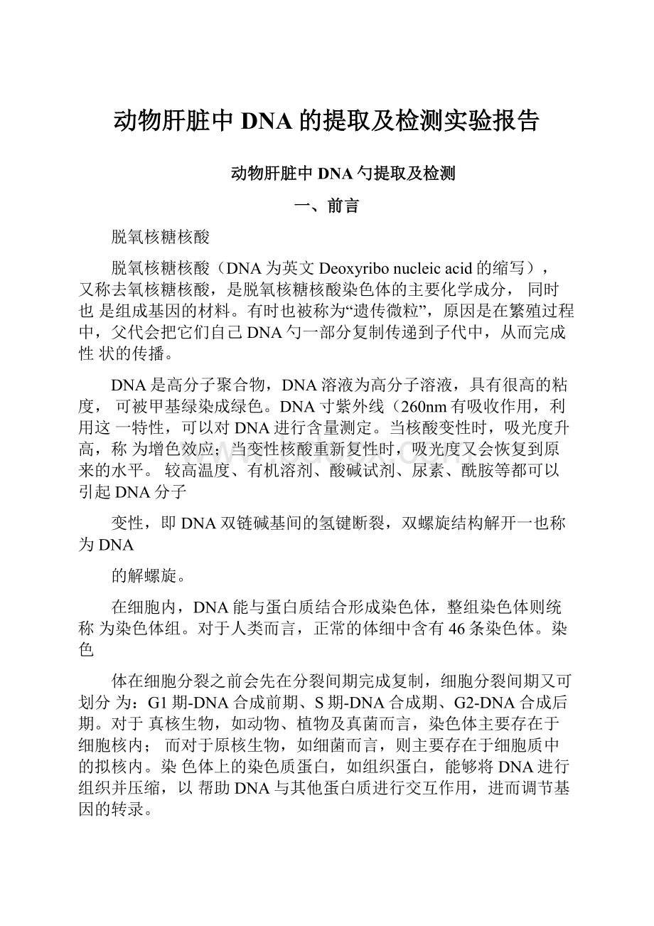 动物肝脏中DNA的提取及检测实验报告.docx