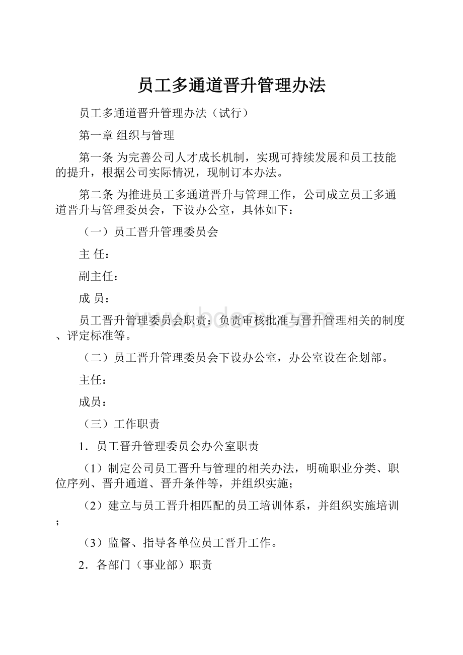 员工多通道晋升管理办法.docx