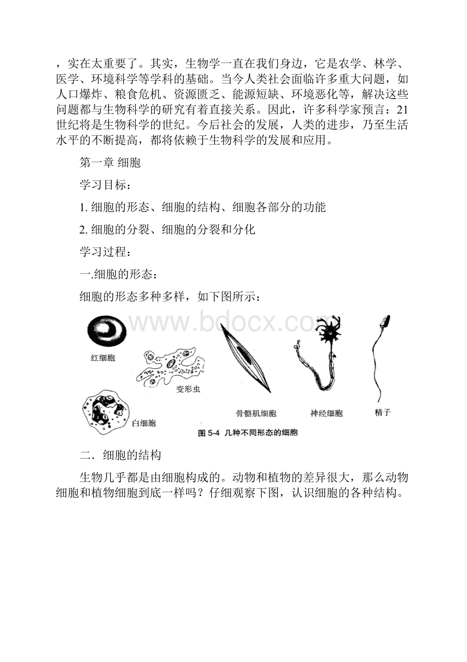 初高中生物衔接教材模板.docx_第2页