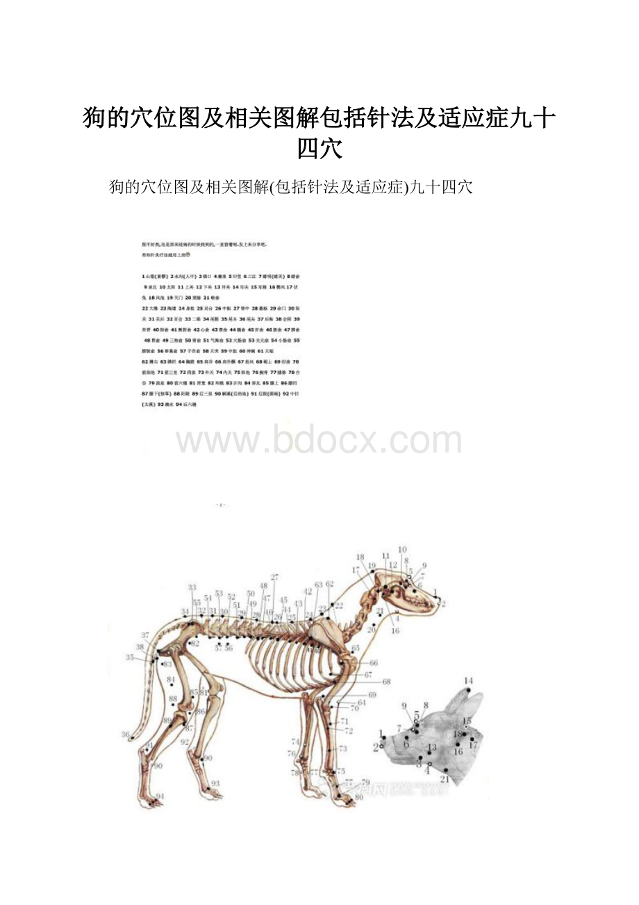 狗的穴位图及相关图解包括针法及适应症九十四穴.docx