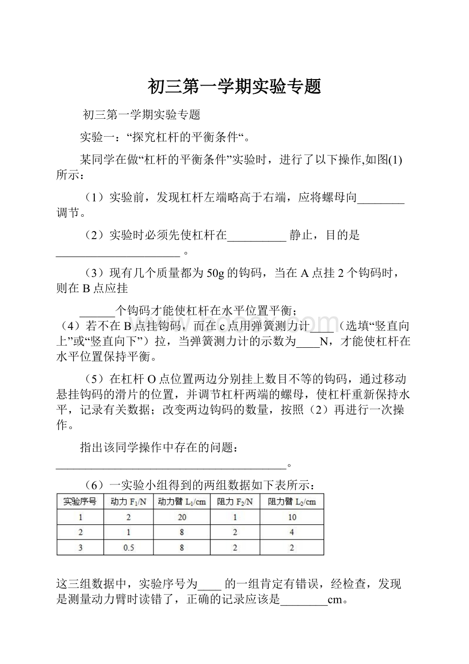 初三第一学期实验专题.docx