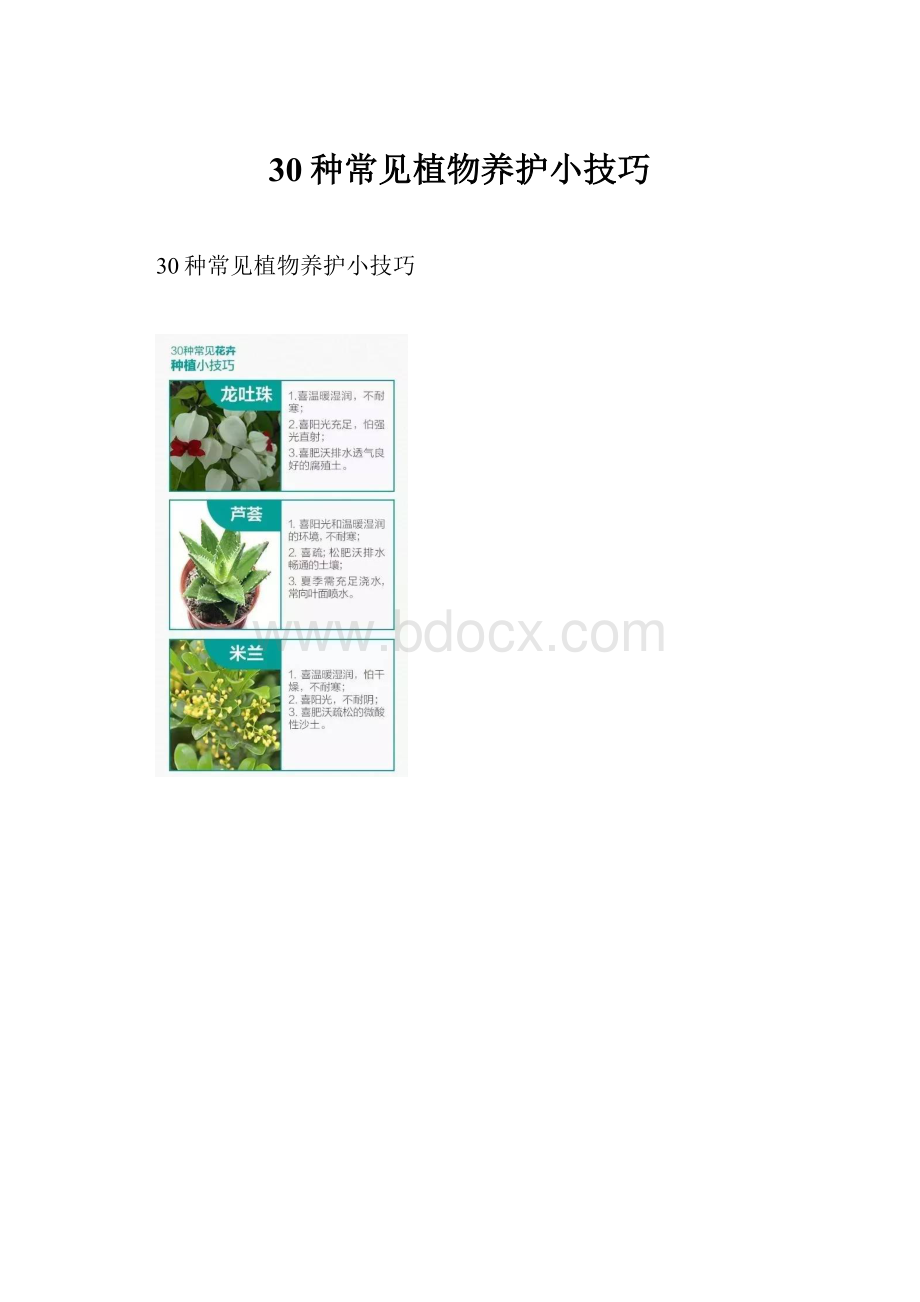 30种常见植物养护小技巧.docx_第1页