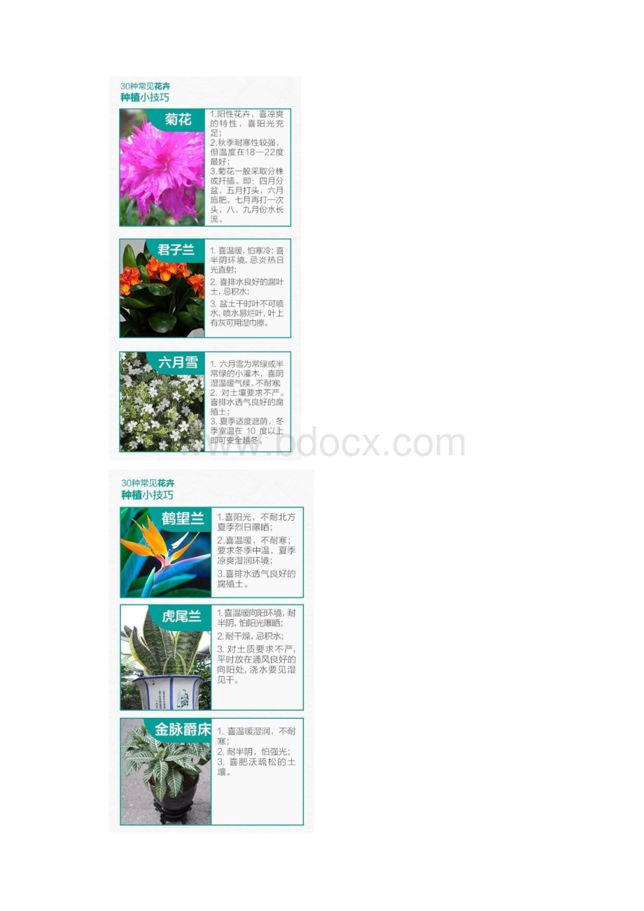 30种常见植物养护小技巧.docx_第2页