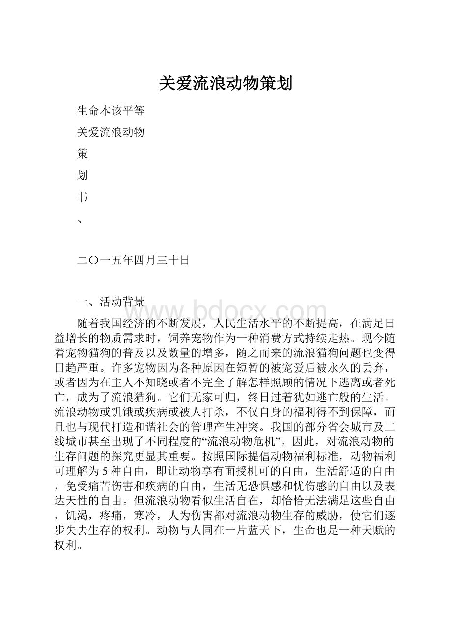 关爱流浪动物策划.docx