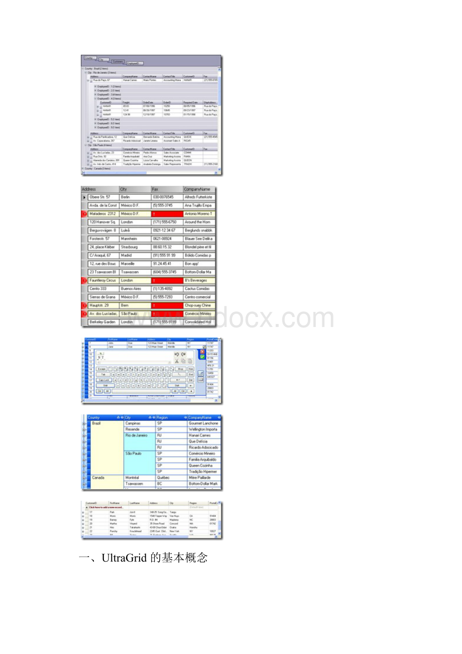 UltraGrid操作.docx_第2页