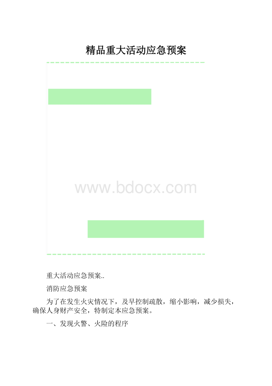 精品重大活动应急预案.docx_第1页