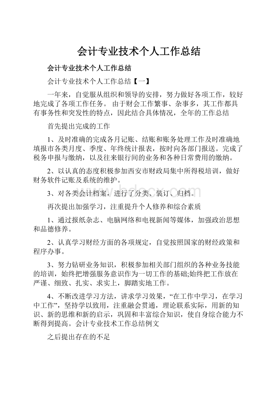 会计专业技术个人工作总结.docx