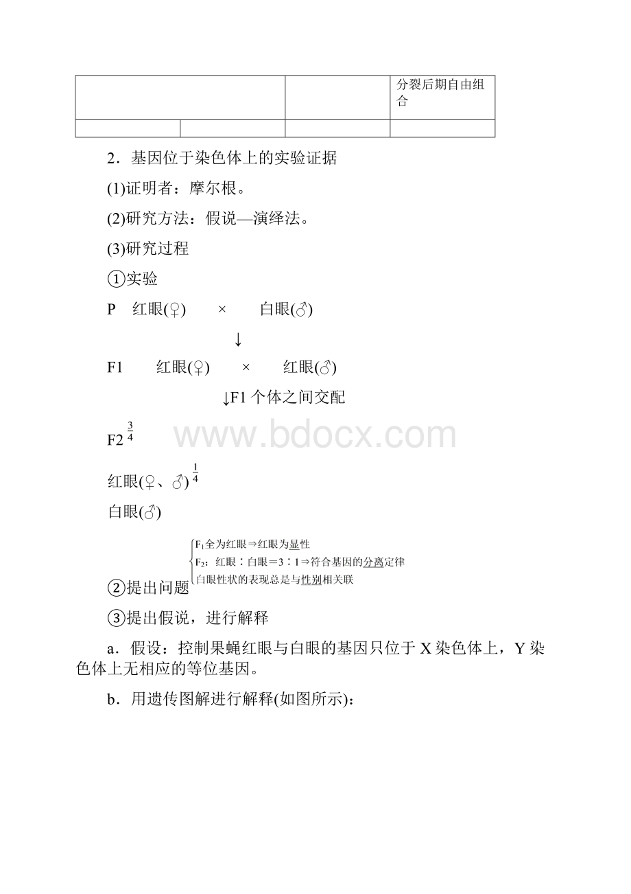 基因在染色体上和伴性遗传.docx_第2页