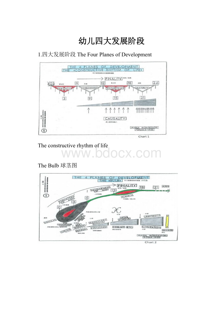 幼儿四大发展阶段.docx