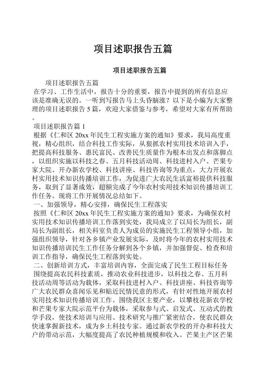 项目述职报告五篇.docx_第1页