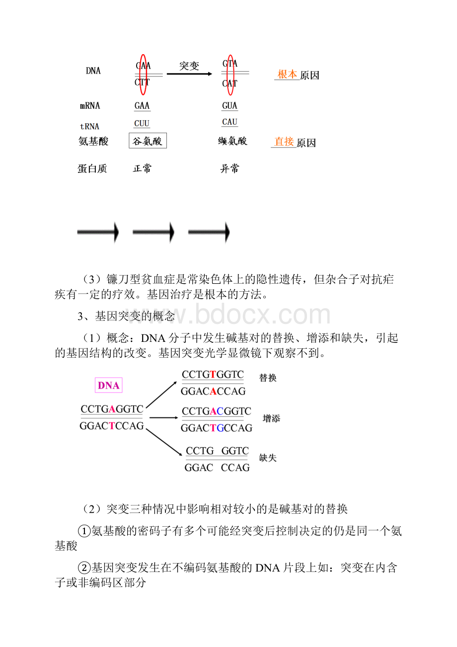 高三生物一轮复习教案51基因突变和基因重组.docx_第2页