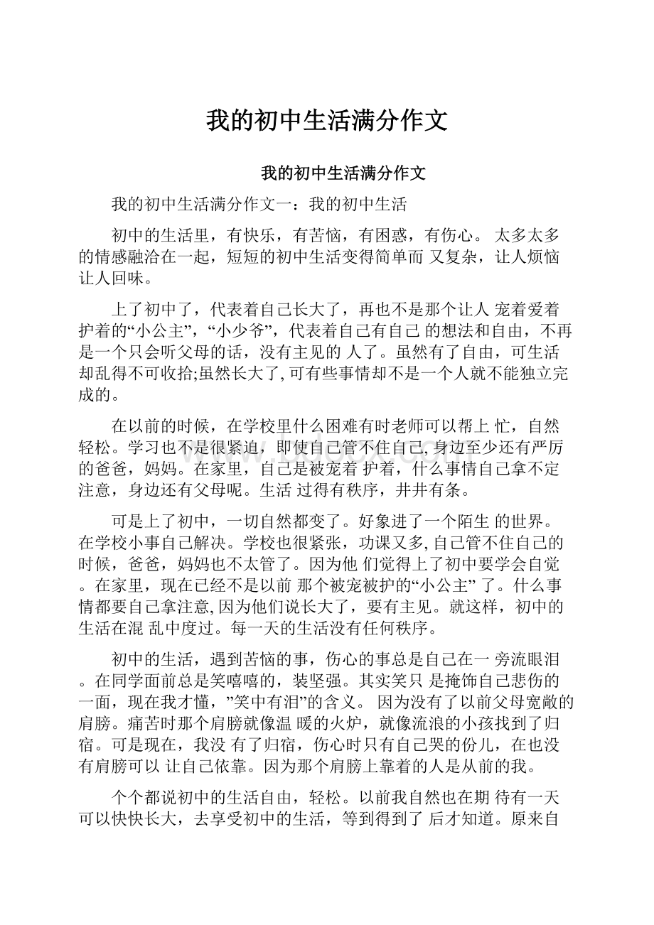 我的初中生活满分作文.docx