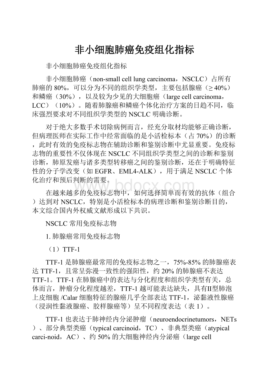 非小细胞肺癌免疫组化指标.docx