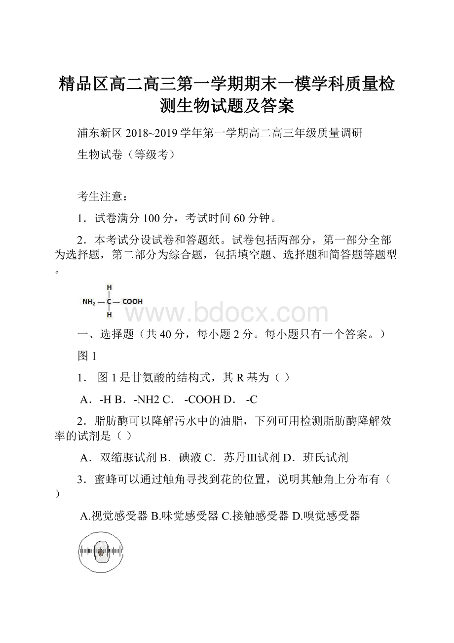 精品区高二高三第一学期期末一模学科质量检测生物试题及答案.docx_第1页