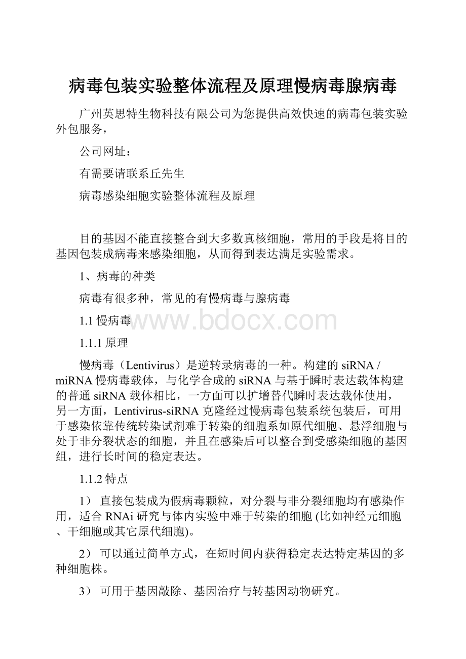 病毒包装实验整体流程及原理慢病毒腺病毒.docx