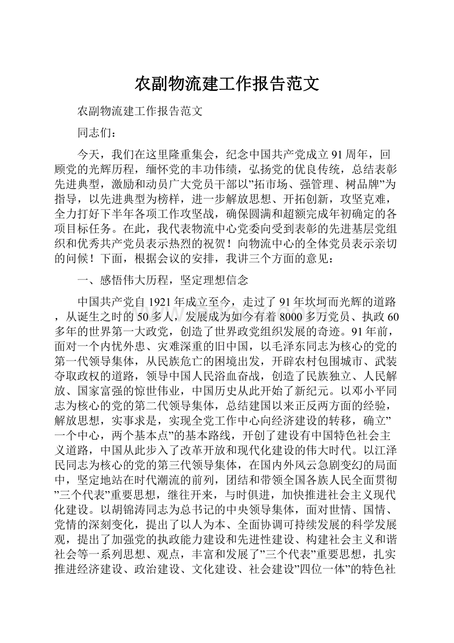 农副物流建工作报告范文.docx