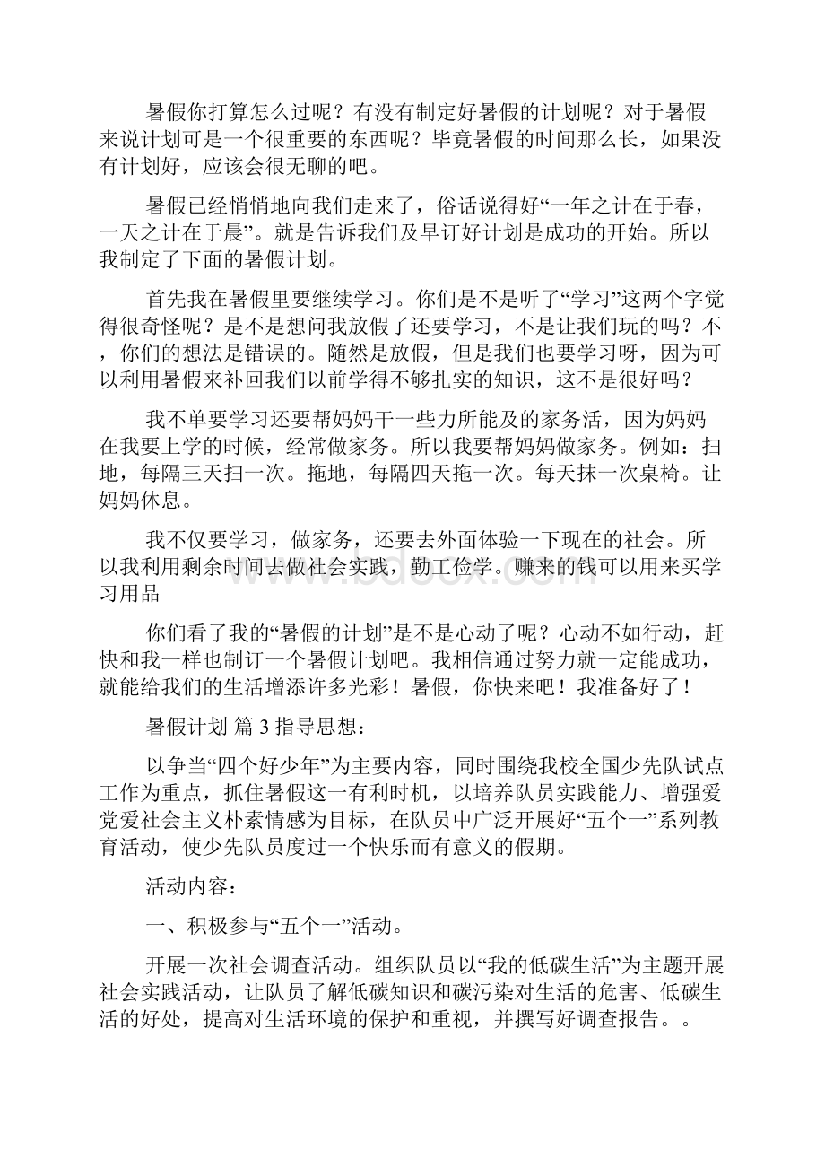 实用暑假计划集合八篇.docx_第2页