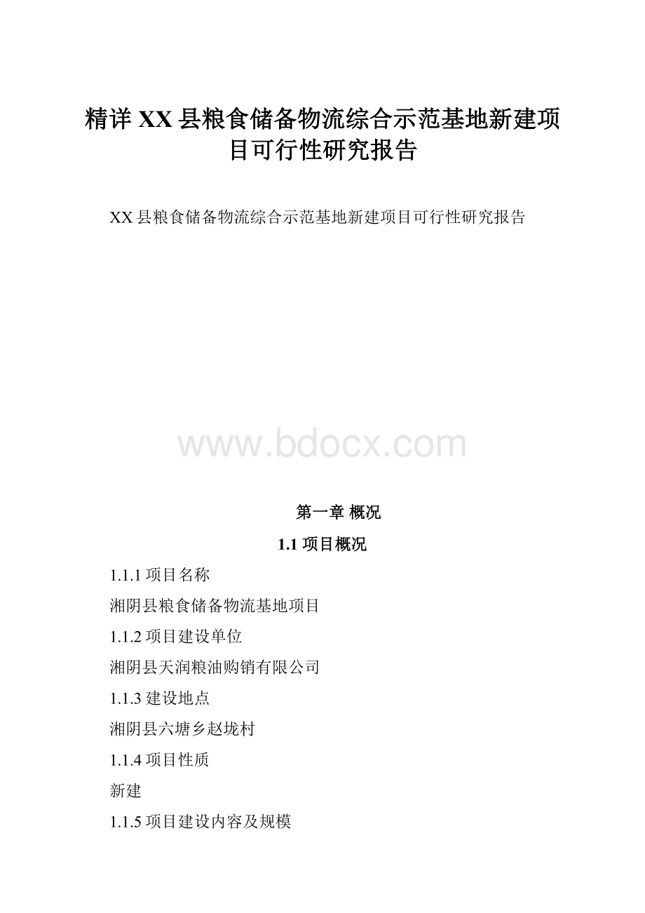 精详XX县粮食储备物流综合示范基地新建项目可行性研究报告.docx