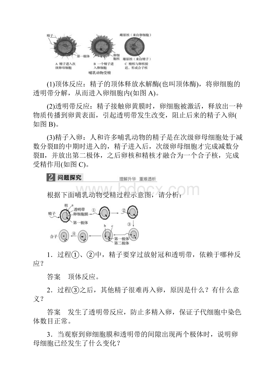 学年高中生物第章胚胎工程第节胚胎工程的理论基础胚胎的发育同步备课教学案.docx_第2页