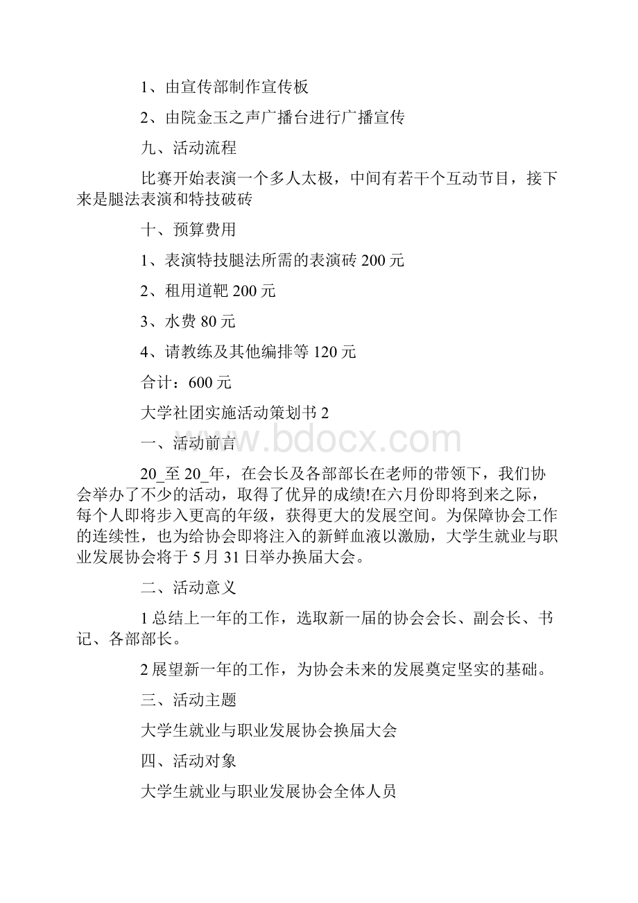 大学社团实施活动策划书.docx_第2页