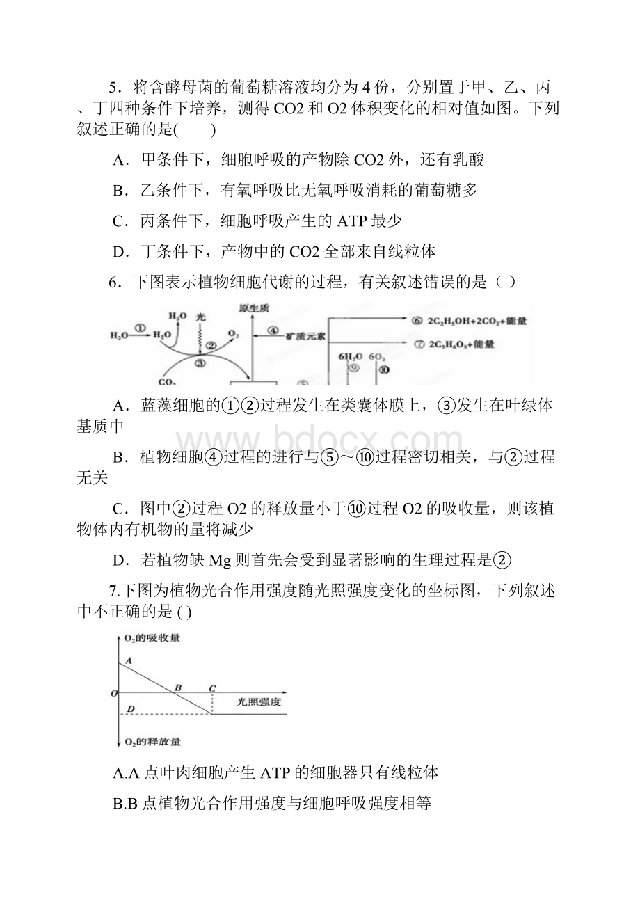 高二生物第二次周练.docx_第3页